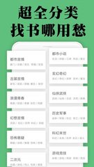 爱游戏APP网页版入口